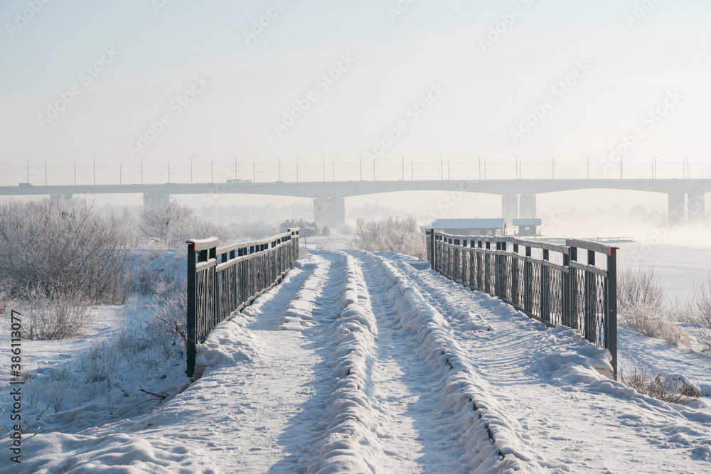 Fototapeta premium Winter landscape of frosty trees, white snow in city park. Trees in hoarfrost. Seasons, climate change, ecology, environment. Extremely cold winter