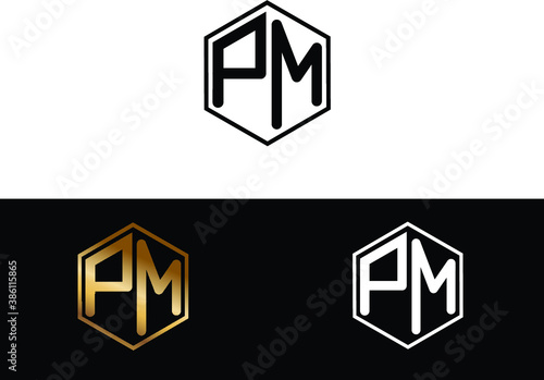 PM hexagon Shape minimalist logo Design