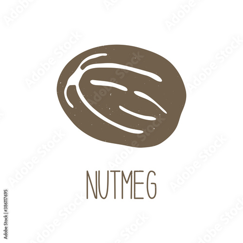 Cute caption nutmeg isolated on white background. Spice pictogram original design. Vector shabby hand drawn illustration