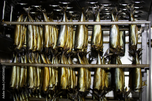 Industrial smoking of fish. Mackerel in a smoking oven.