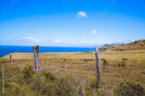 Beautiful country seaside road, West Maui coastline, Hawaii