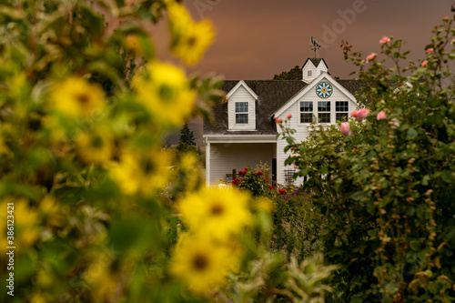 gardens and flowers during wildfires
