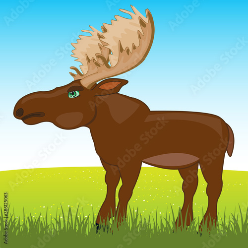 Wild ungulate animal moose on year glade