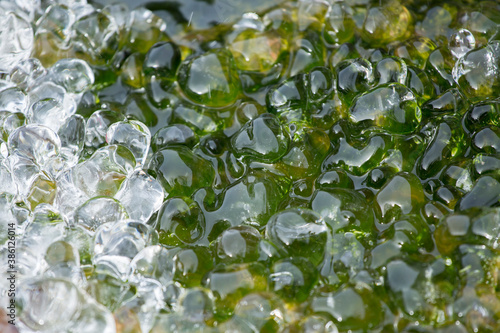 Abstract shot of melting ice on the grass