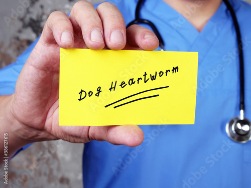 Medical concept about Dog Heartworm  with inscription on the sheet. photo