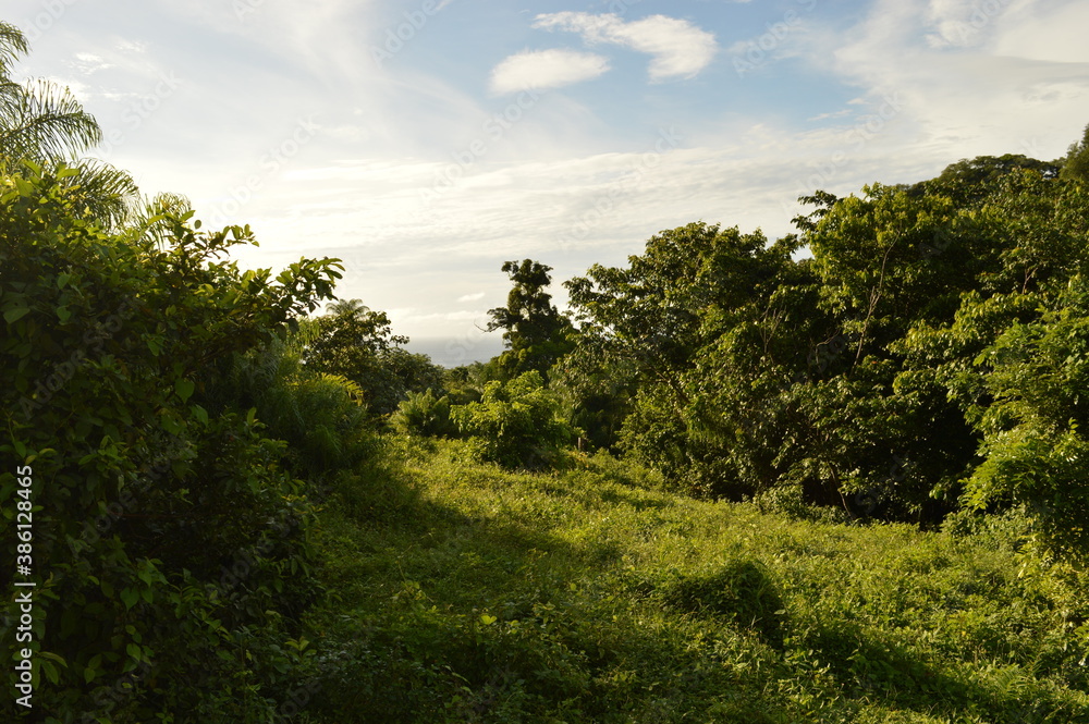 The lush jungle landscapes with waterfalls and black volcanic beaches on the St Vincent and Grenadines islands, Caribbean Ocean