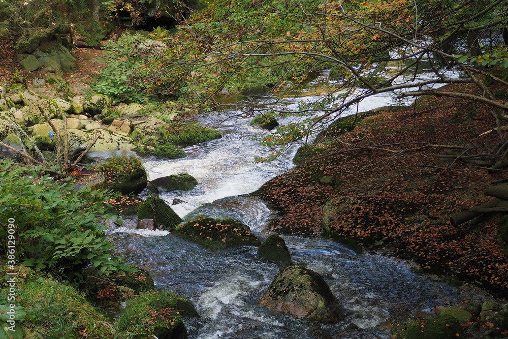 Bystra górska rzeka jesienią