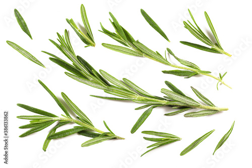 Rosemary closeup isolated on a white background, closeup, top view