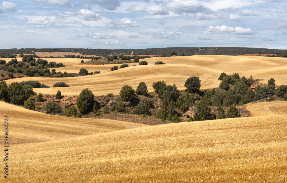 Typical Agricultural Landscape in Teruel, Aragon, Spain