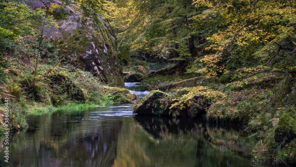 when the autumn comes - Wenn der Herbst kommt when the autumn comes - Wenn der Herbst kommt