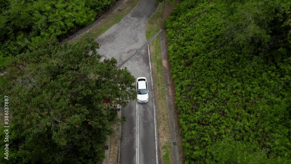 Aerial top down 4k view tracking a sedan car driving on road in forest in the evening. Cinematic drone shot flying over gravel road in pine tree forest Aerial top down 4k view tracking a sedan car driving on road in forest in the evening. Cinematic drone shot flying over gravel road in pine tree forest