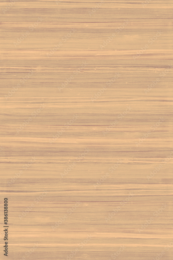 wooden tree timber background texture structure backdrop wooden tree timber background texture structure backdrop