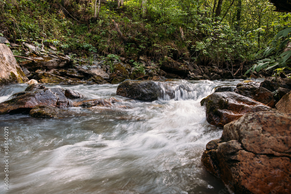 Fototapeta premium rough stony river in the mountains in the forest