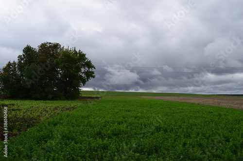 clouds over the field