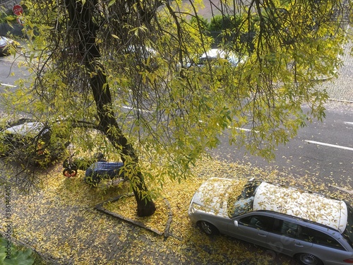 Obraz na płótnie Jesień w Katowicach 1 w salonie
