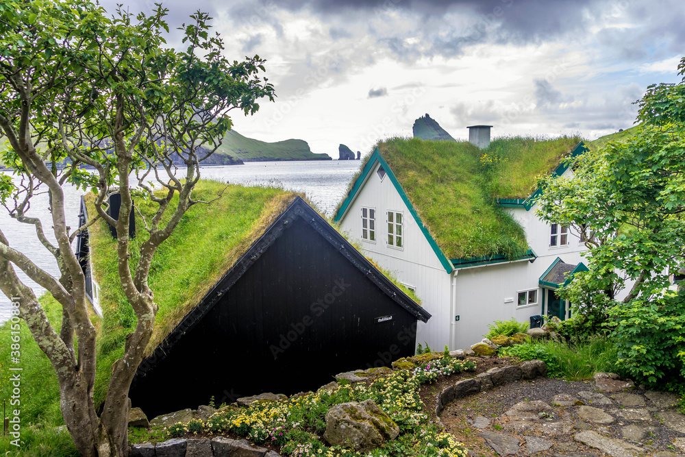 Grass Roofs