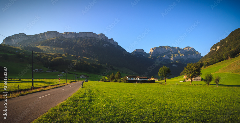 Green grass in appenzeller Land during sunrise, Switzerland