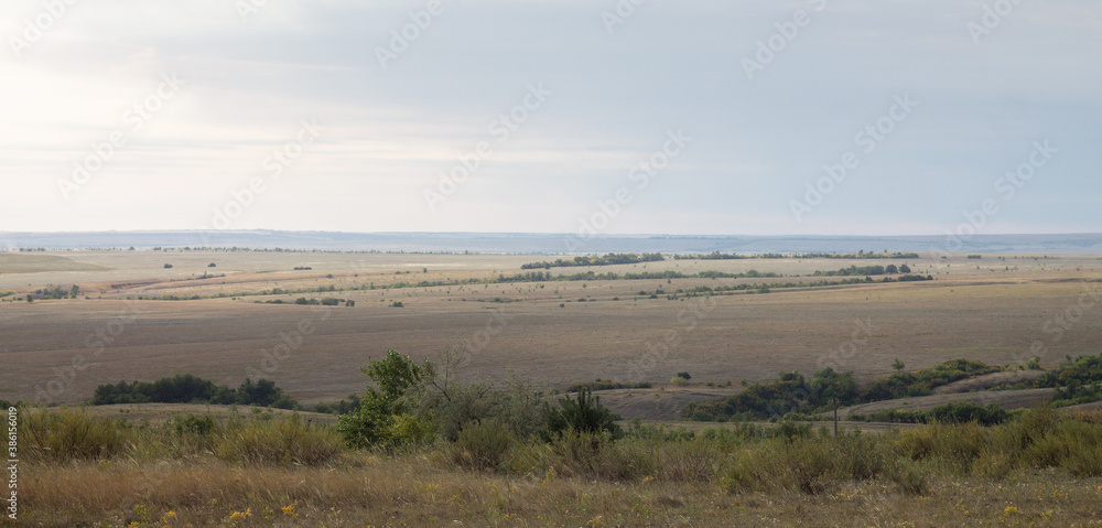 Steppe panorama under blue sky with rare trees and hills