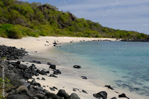 Ecuador Galapagos Islands - San Cristobal Island Scenic Beach Baquerizo - Playa Baquerizo
