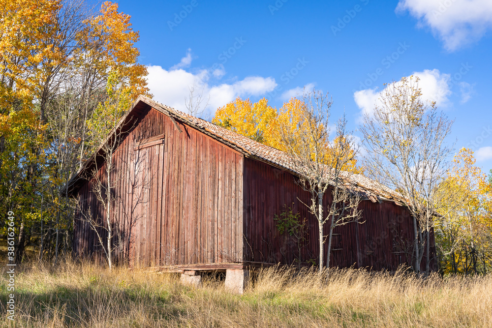 Old shabby red barn in the fall season. Vintage photo. An abandoned farm in a rural location and wooden warehouse for storage of grain. Autumn forest with colorful tree crowns and blue sky. Old shabby red barn in the fall season. Vintage photo. An abandoned farm in a rural location and wooden warehouse for storage of grain. Autumn forest with colorful tree crowns and blue sky.
