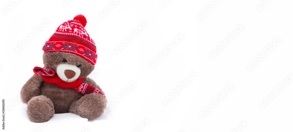 A toy fluffy bear in a winter hat on a white background.