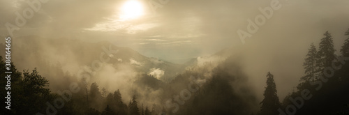 Panorama view of foggy forest in smoky mountains national park at morning sunrise