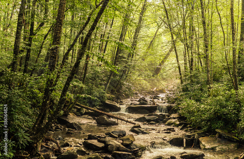  Forest stream flows down over the rock in smoky mountains national park