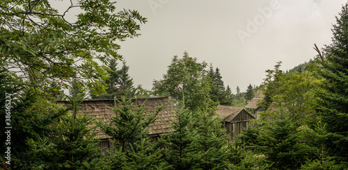 Wooden cabins situated between trees in smoky mountain national park