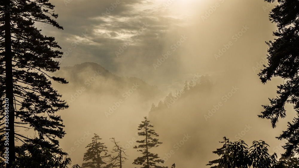 Panorama view of foggy forest in smoky mountains national park at morning sunrise
