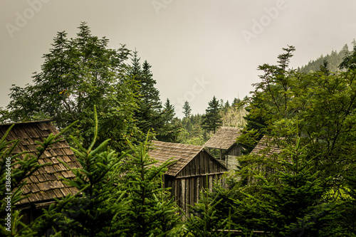 Wooden cabins situated between trees in smoky mountain national park © AllThings