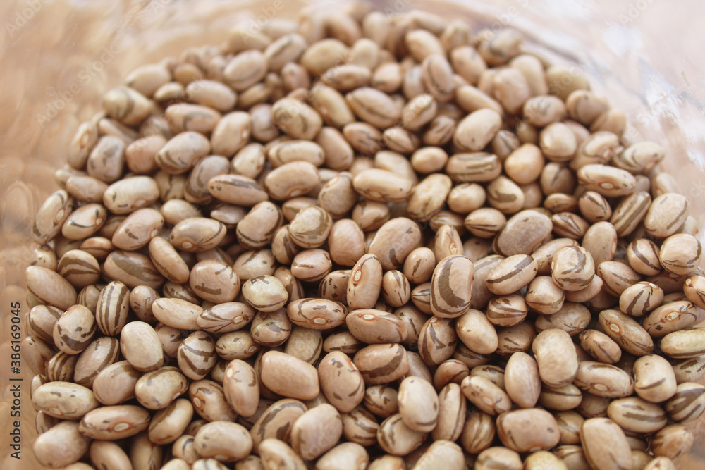 Raw Beans (Beans of bean) - Grains of raw beans texture background Raw Beans (Beans of bean) - Grains of raw beans texture background
