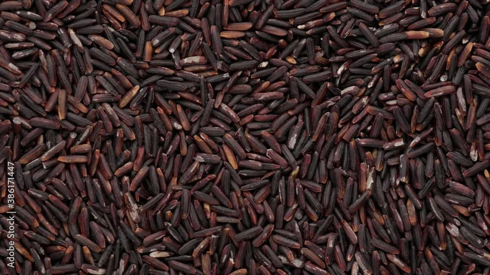 Black rice - background. Rice, dolly shot. Black rice - background. Rice, dolly shot.