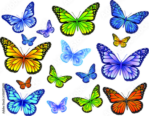 Danaus plexippus butterfly vector image for web design and print © Юлия Драгомирова