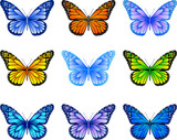 Butterfly mix