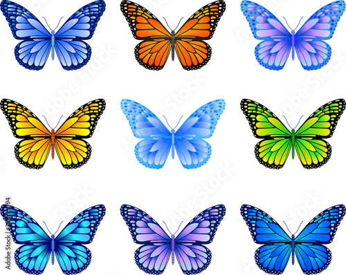 Butterfly mix © Юлия Драгомирова