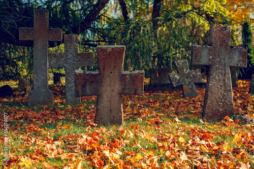 Old cemetry in Pirita Monastery ruins of St. Brrigitta in Autumn colors photo