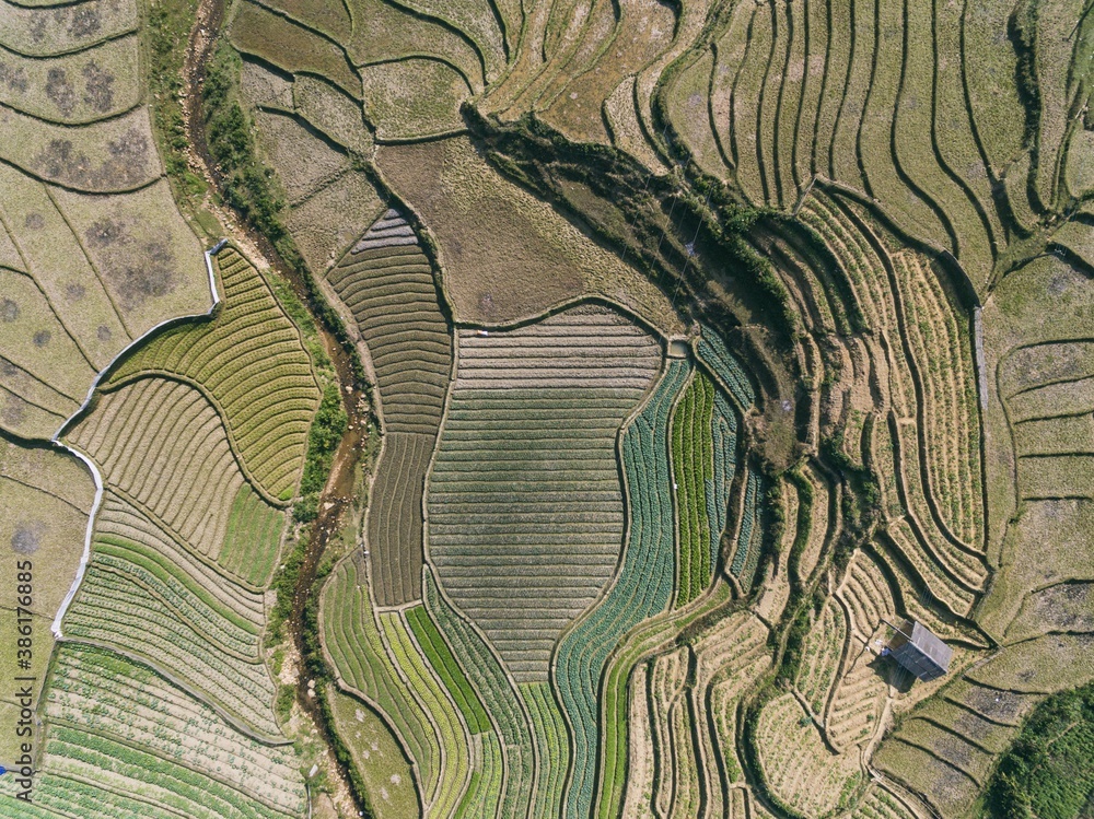 Rice Fields, rice terrace Paddy in Sa Pa Lao Cai Vietnam Asia Aerial Drone Photo Rice Fields, rice terrace Paddy in Sa Pa Lao Cai Vietnam Asia Aerial Drone Photo