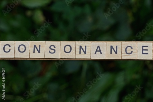 gray word consonance made of wooden square letters on green background