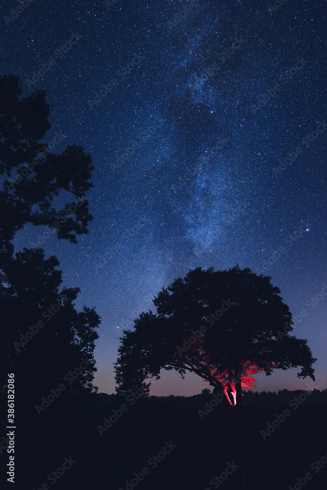 Milky Way over an old oak tree Milky Way over an old oak tree