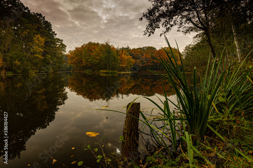 Autumn setting with a dramatic sky at the Brunsummerheide (english Brunssumerheide) with warm autumn leaf colours and reflections in the pond, giving this image an idyllic atmosphere photo