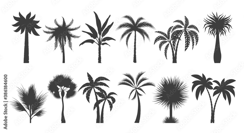 Palm tree silhouette drawings