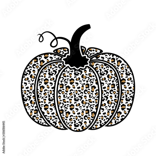 Leopard pumpkin