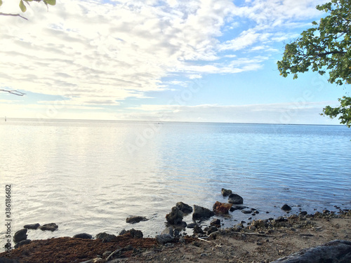 Tropical Beach Looking Over Ocean