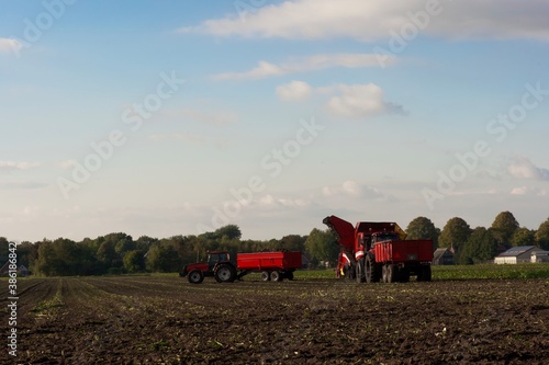 Bright red farm equipment harvesting in autumn - tractor, truck, flatbed. Horizontal, landscape, lifestyle.  photo