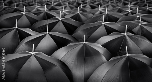 Mass of black umbrellas