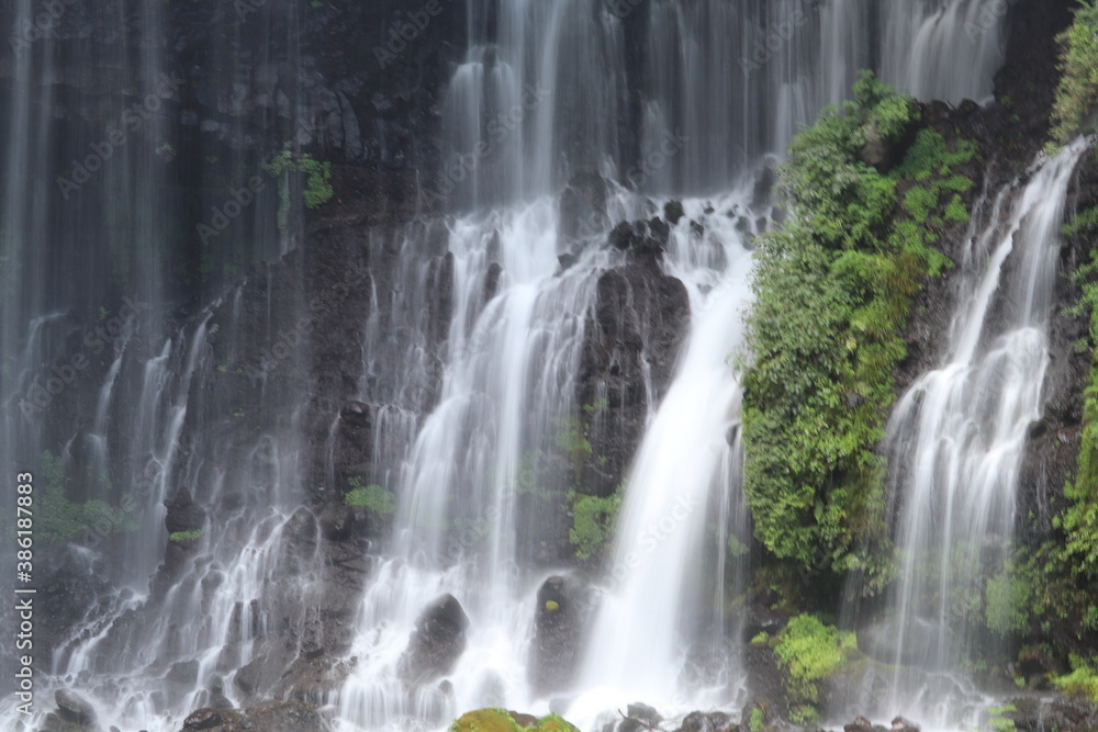 Obraz premium 一面の滝