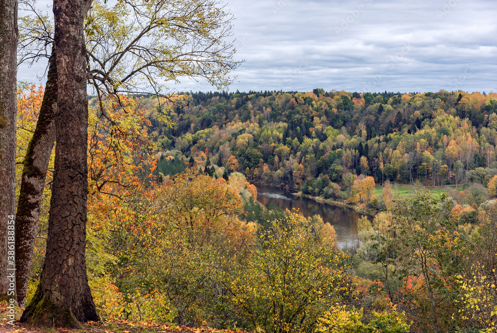Landscape view of Gauja river in Sugulda, Latvia during the golden autumn