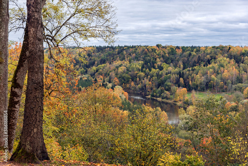 Landscape view of Gauja river in Sugulda  Latvia during the golden autumn