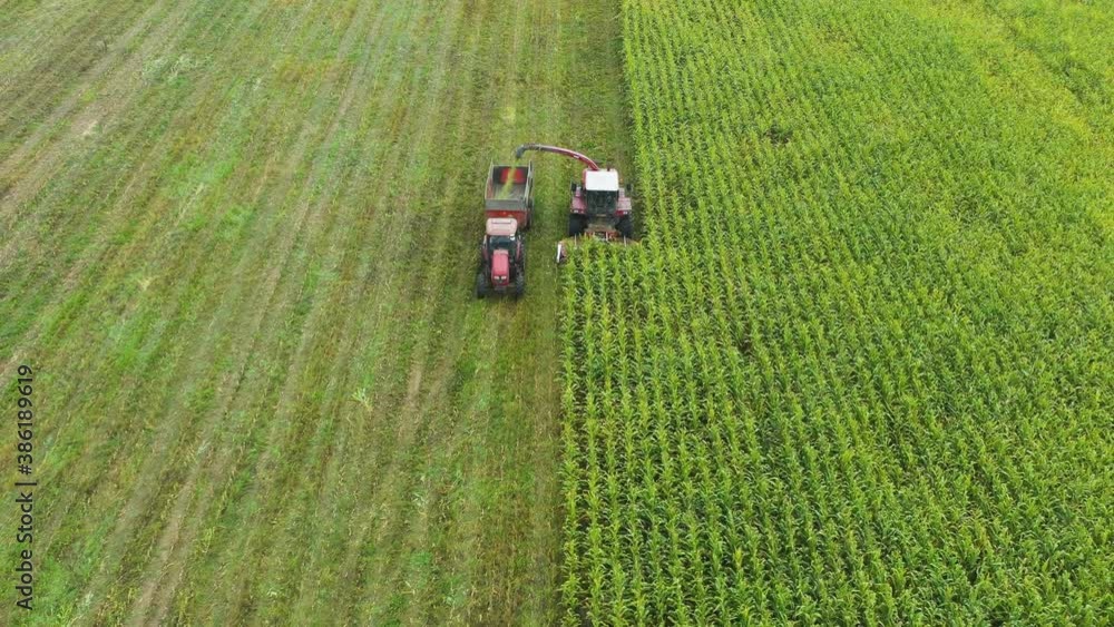 High Angle Flying before combine harvester removes crop from green field into tractor, Moscow area, Russia High Angle Flying before combine harvester removes crop from green field into tractor, Moscow area, Russia
