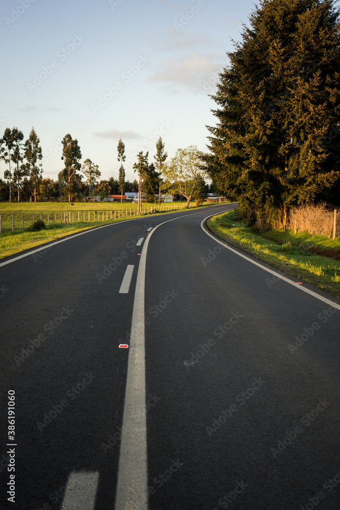 road in autumn